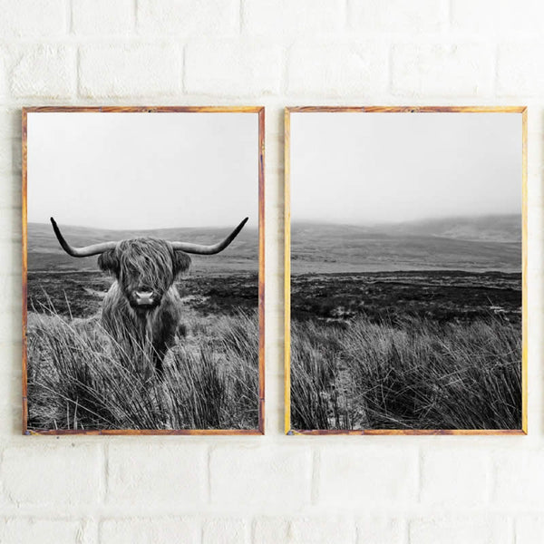 Highland Cow Print And Poster