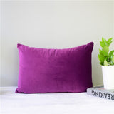 Velvet Pillow Cover