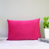 Velvet Pillow Cover