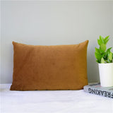 Velvet Pillow Cover