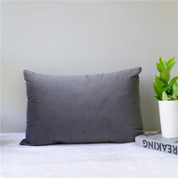 Velvet Pillow Cover