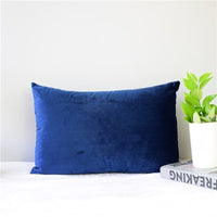 Velvet Pillow Cover