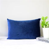 Velvet Pillow Cover