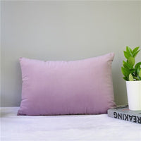 Velvet Pillow Cover