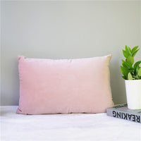 Velvet Pillow Cover