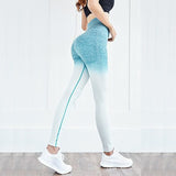 Ombre Seamless Yoga Pants