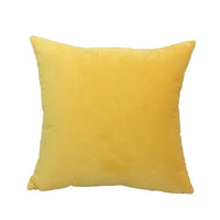 Soft Velvet Pillow Cover