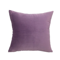 Soft Velvet Pillow Cover