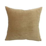 Soft Velvet Pillow Cover