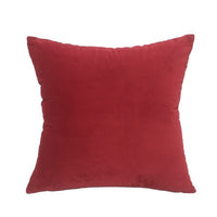 Soft Velvet Pillow Cover