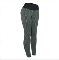 Yoga Pants/ Women/ Seamless