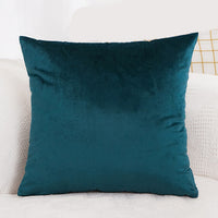 Velvet Cushion  Pillowcase