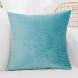 Velvet Cushion  Pillowcase