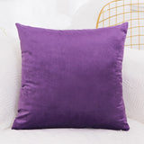 Velvet Cushion  Pillowcase