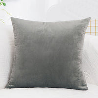 Velvet Cushion  Pillowcase