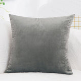 Velvet Cushion  Pillowcase