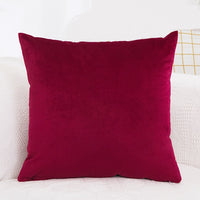 Velvet Cushion  Pillowcase