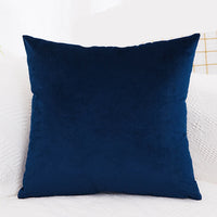 Velvet Cushion  Pillowcase