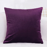 Velvet Cushion  Pillowcase