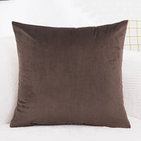 Velvet Cushion  Pillowcase