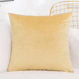 Velvet Cushion  Pillowcase