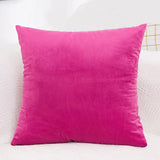 Velvet Cushion  Pillowcase