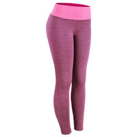 Yoga Pants/ Women/ Seamless